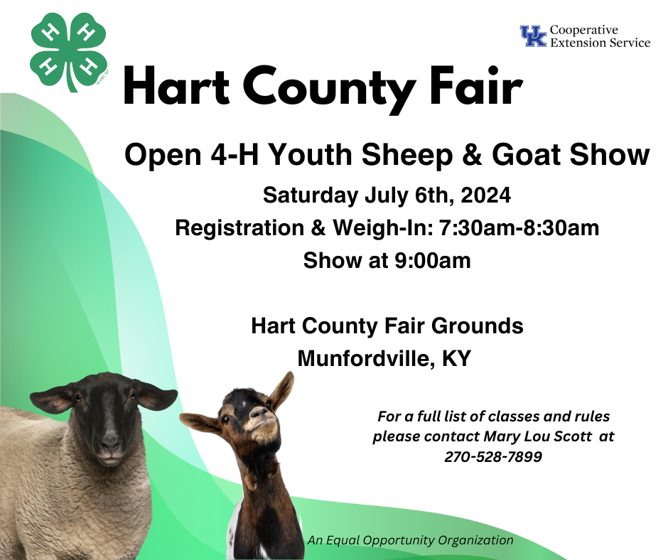 flyer for sheep and goat show