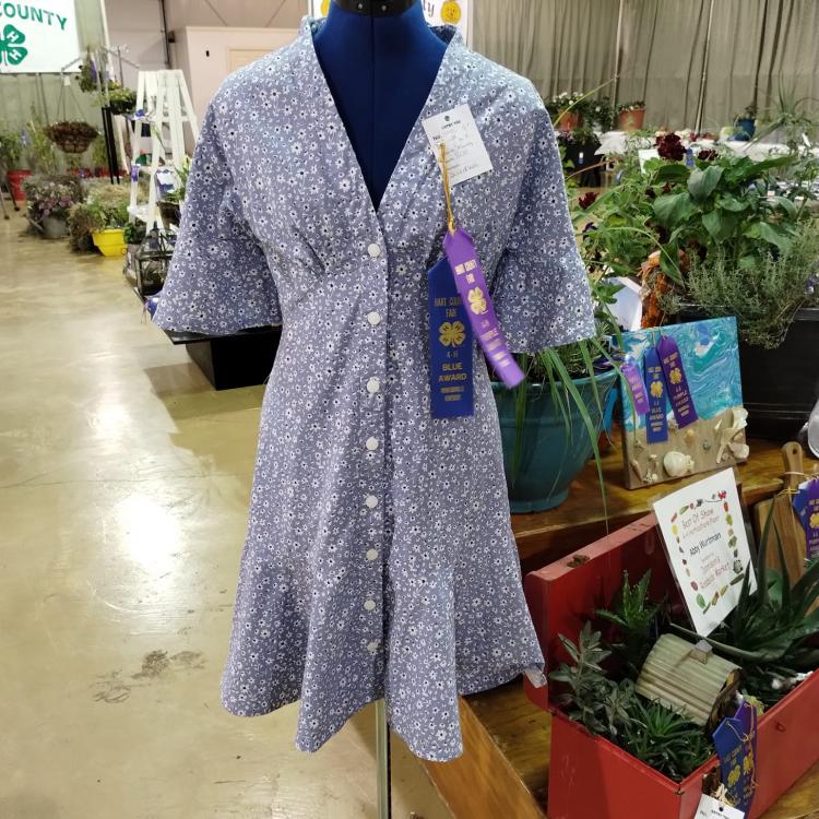  Blue dress on stand 